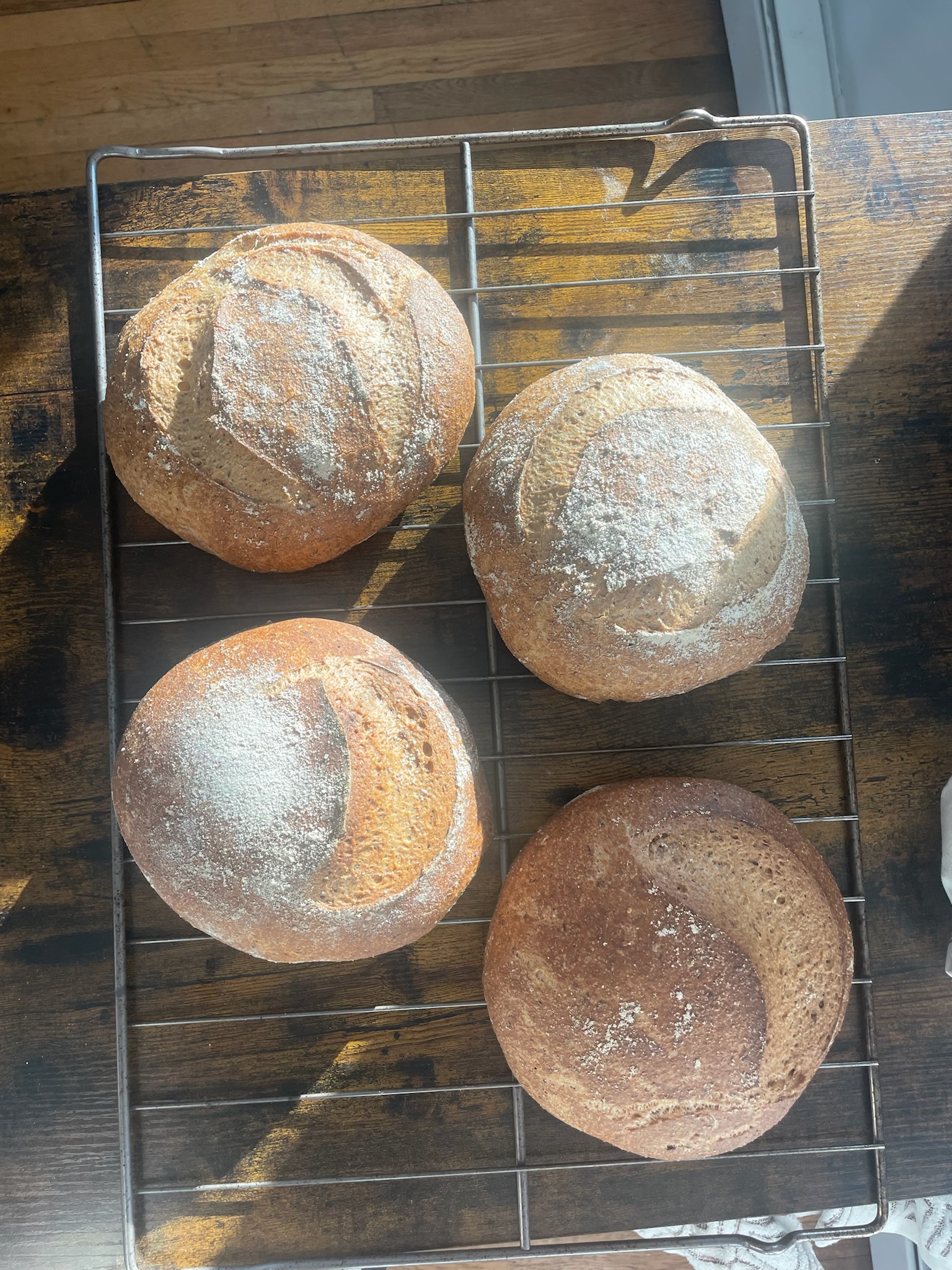 The Sour Dough baking process